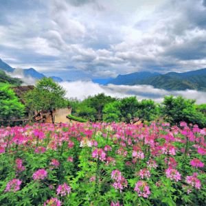 Vườn Vô Cực Sa Pa