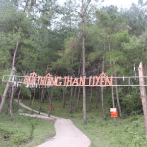 Du Lịch Đồi Thông Than Uyên
