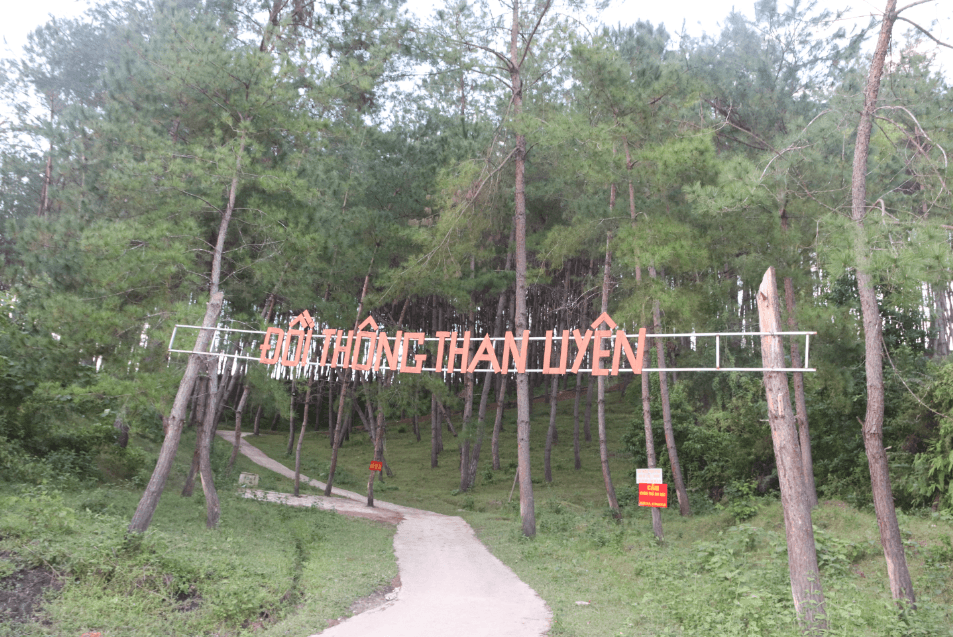 Du Lịch Đồi Thông Than Uyên