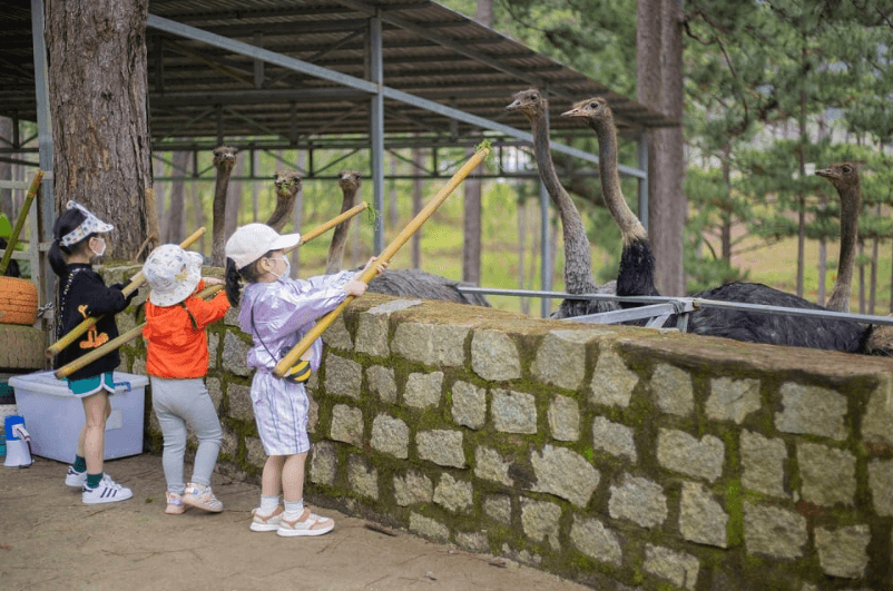 Vườn thú ZooDoo