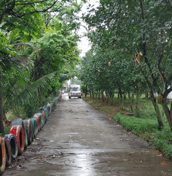Đảo Bầu - An Lão - Hải Phòng