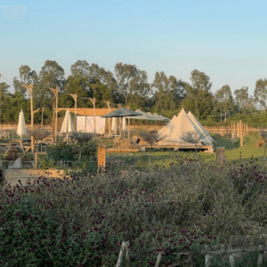 Sam Camping Hải Phòng
