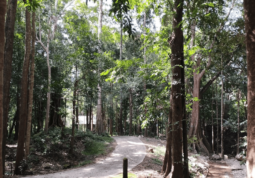 Trung tâm Du lịch sinh thái - Sa Thầy - Kon Tum