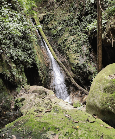 Suối Nước Mát