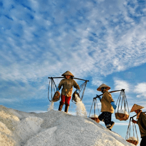 Đồng muối Phương Cựu