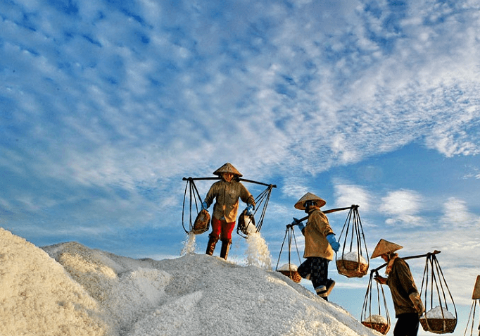 Đồng muối Phương Cựu
