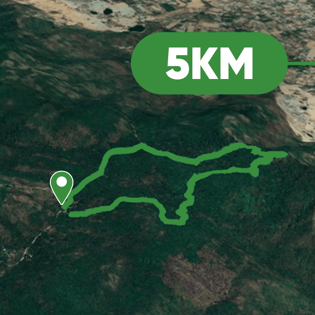 Núi Dinh – Green Plus Route 5km