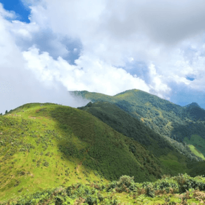 Thảo Nguyên Nhỏ - Sa Pa - Lào Cai