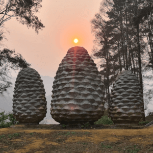Đồi thông Eo gió