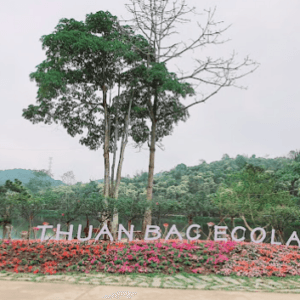 Thuận Bắc Ecolake