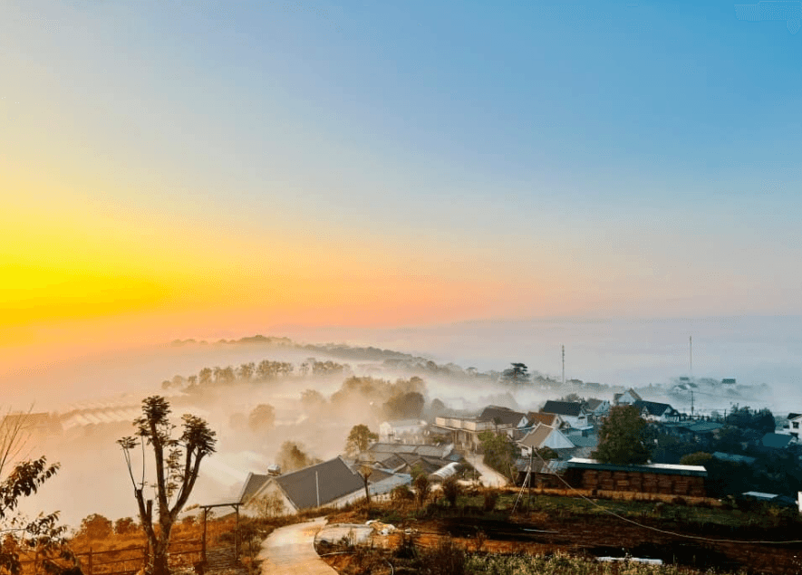 Đồi Mây Đà Lạt