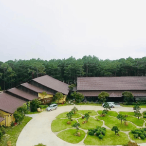 Bảo Tàng Trà Long Đỉnh