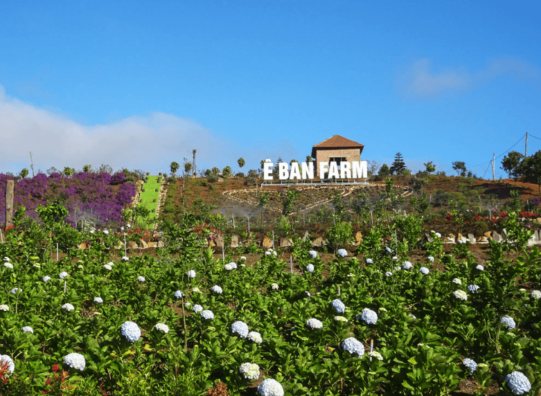 Ê Ban Farm - Kon Plông - Kon Tum