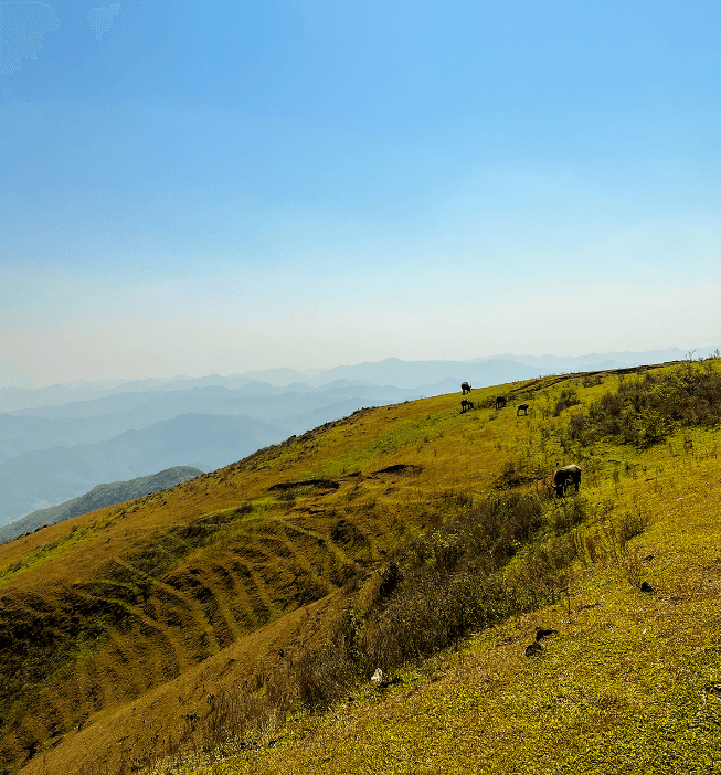 Trekking Núi Đại Bàng