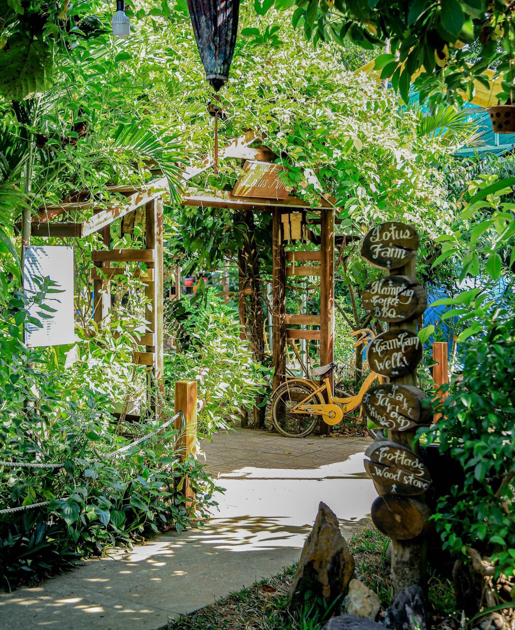 Huế Lotus Homestay