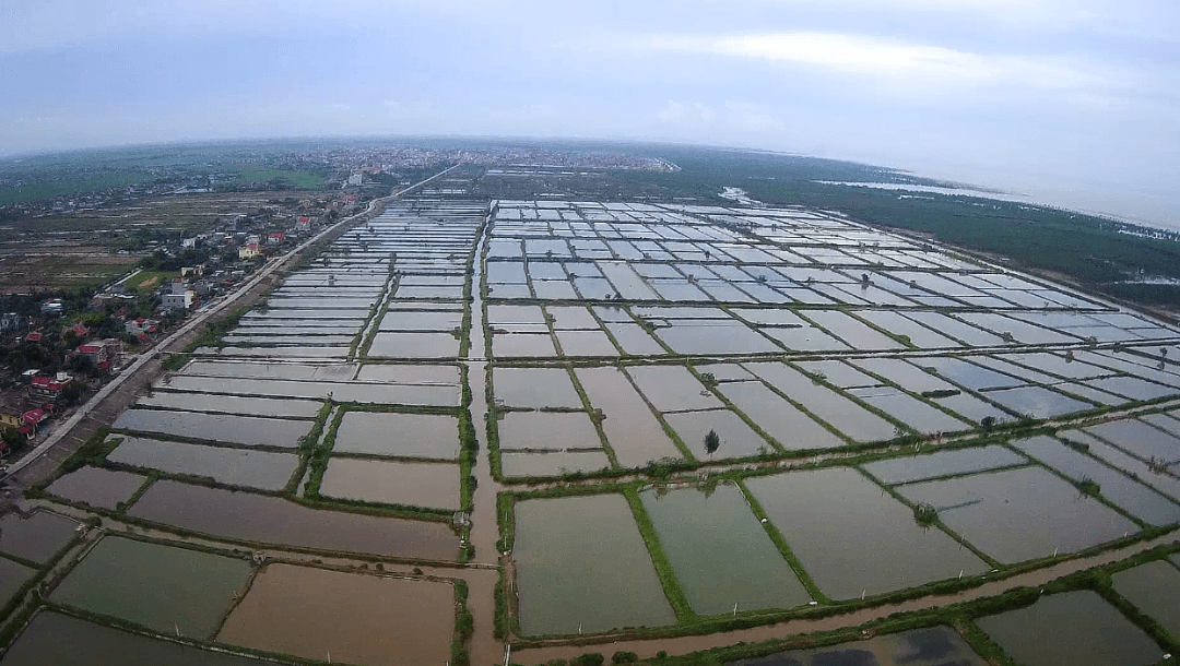 Cánh đồng muối Tam Đồng