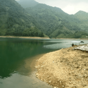 Đập Gò Miếu