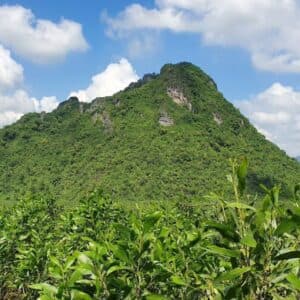 Đồi Rockpile - Cam Lộ - Quảng Trị
