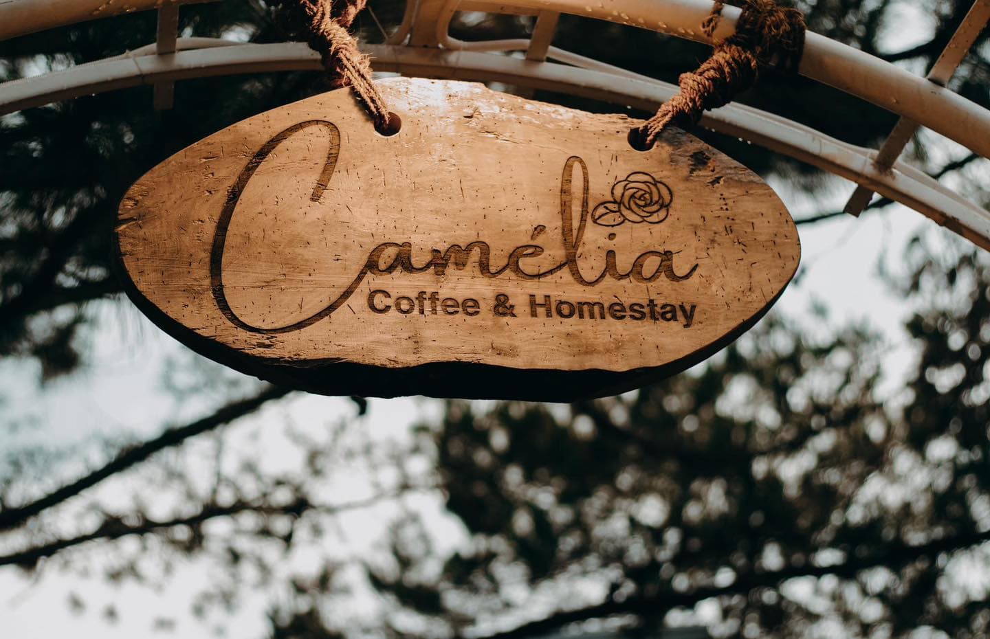 Camélia Coffee & Homestay