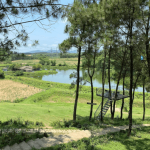 Đồi Mây Đắng