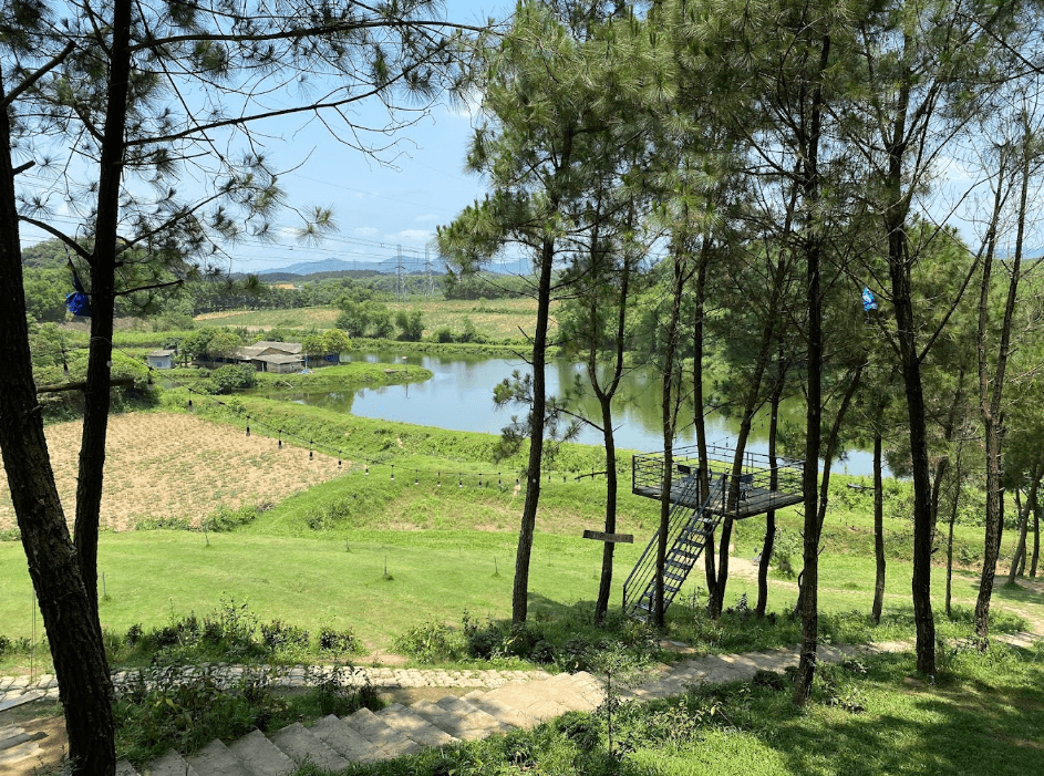 Đồi Mây Đắng