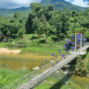 Công Viên Du Lịch Yang Bay