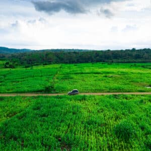 Trạm Quản lý & Bảo vệ rừng Mỹ Thạnh