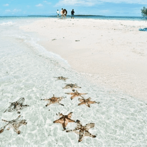 Bãi Sao Phú Quốc (Starfish Beach)