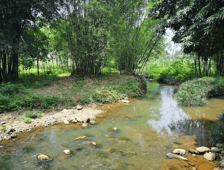 Chiến Khu Vần