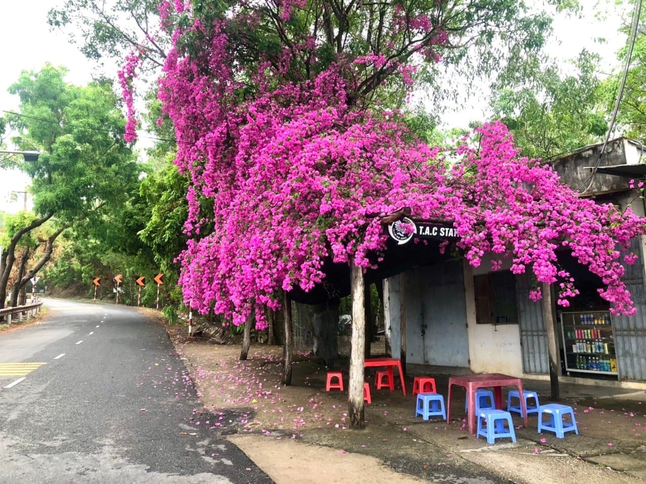 Quán cô Kiều - Núi Dinh