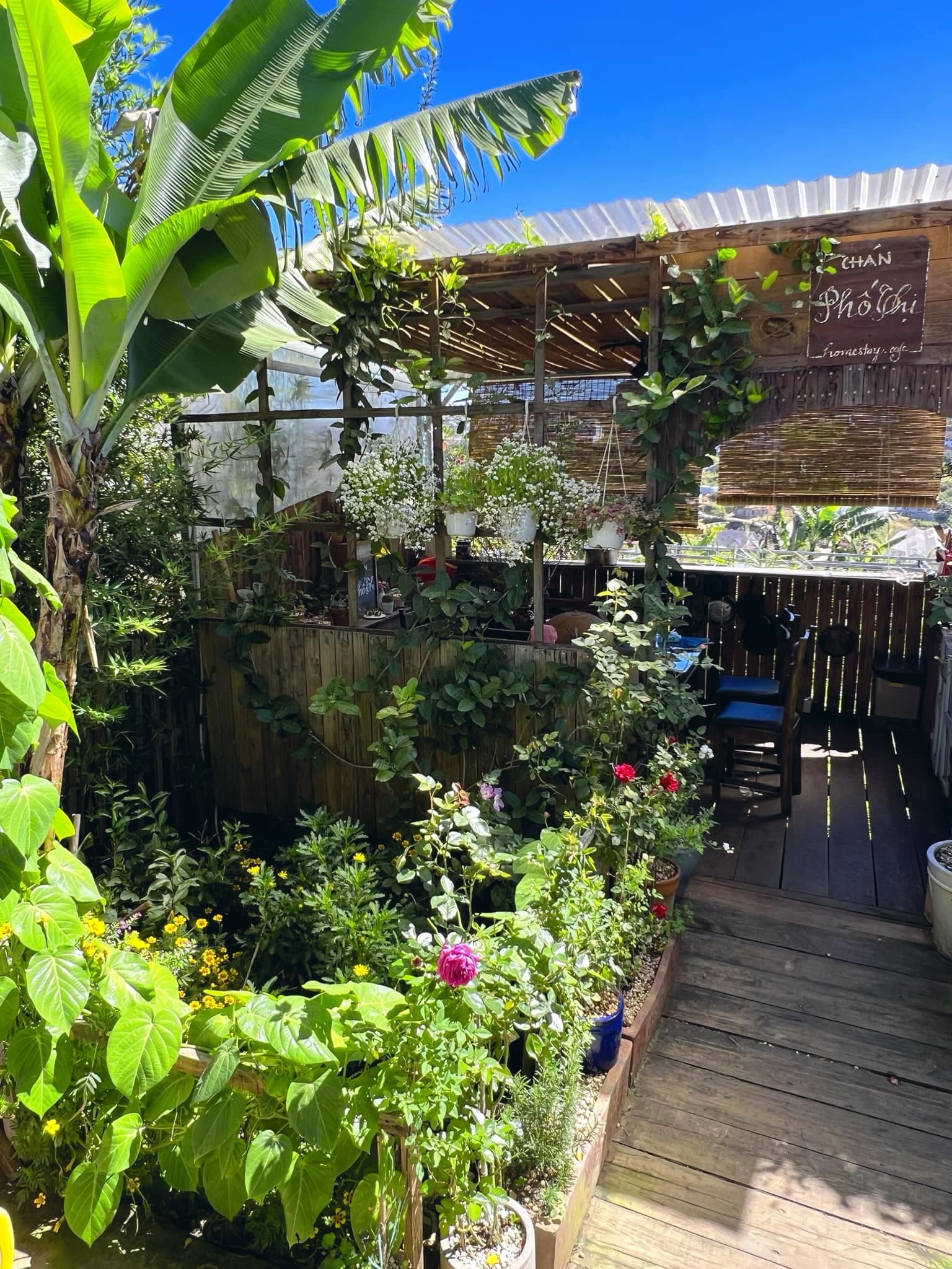 Chán Phố Thị Homestay