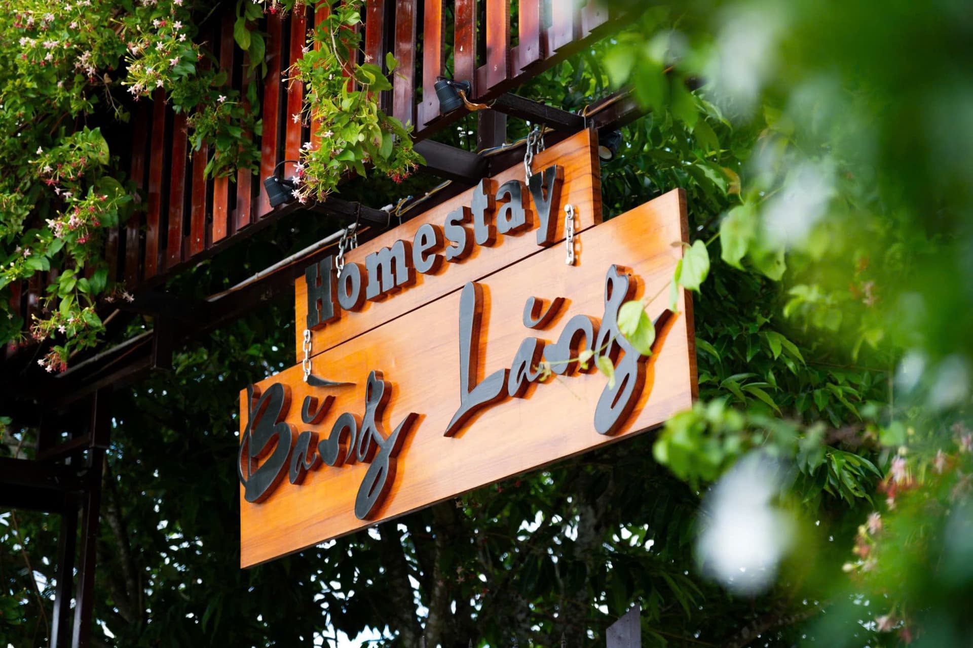 Bằng Lăng Homestay