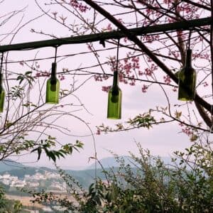 Sweet Home Dalat - Homestay