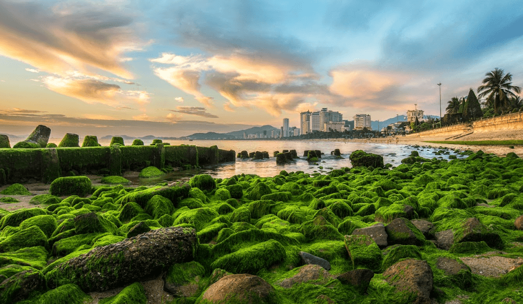 Bãi Rêu Nha Trang