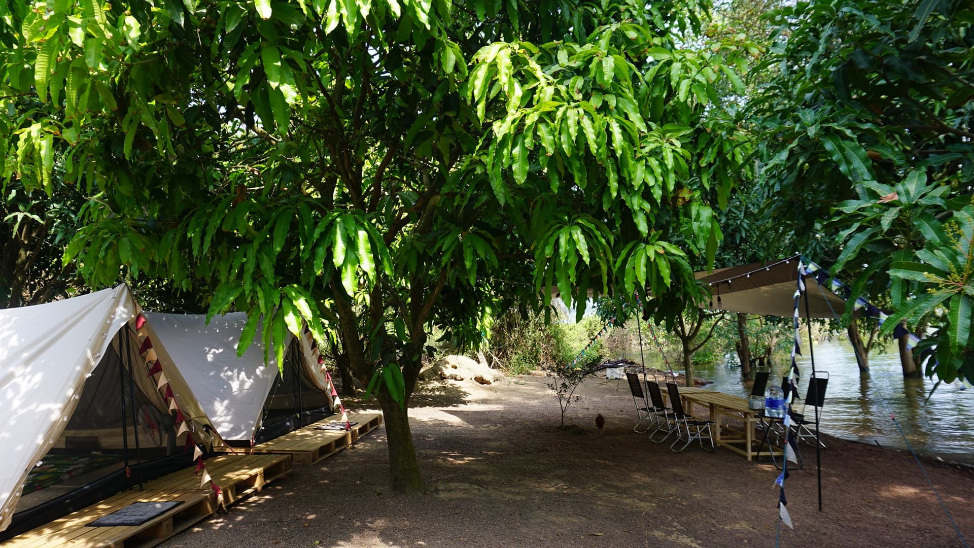 Trị An Vincamp