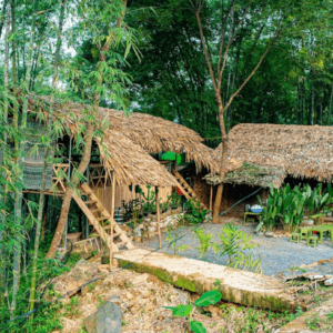 Quán ăn suối già