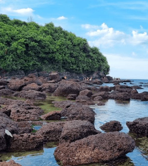 Bãi Đá Biển Rạng