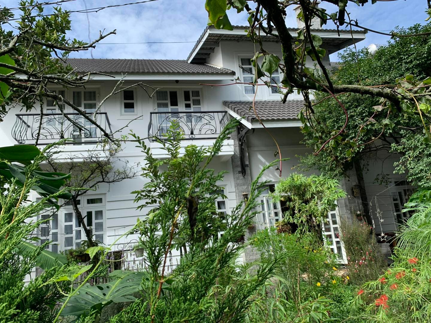 De daisy Villa Homestay