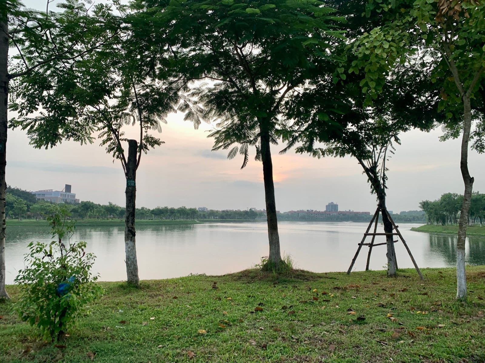 Phố Phạm Ngọc Thạch - Phố Tôn Thất Tùng