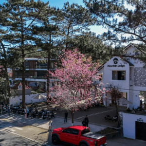 Mountain Lodge Măng Đen