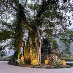 Khu du lịch sinh thái Thung Nham