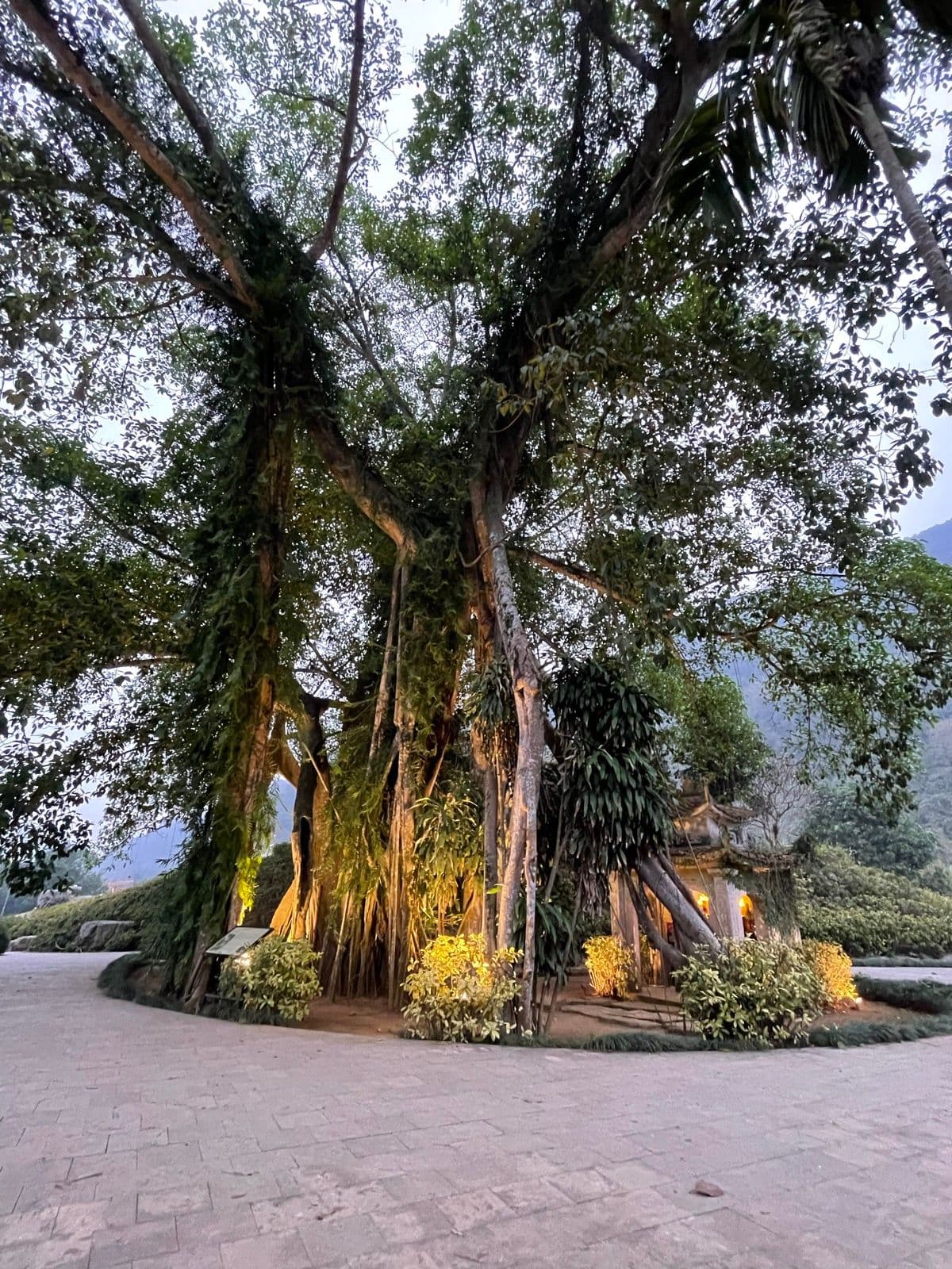Khu du lịch sinh thái Thung Nham