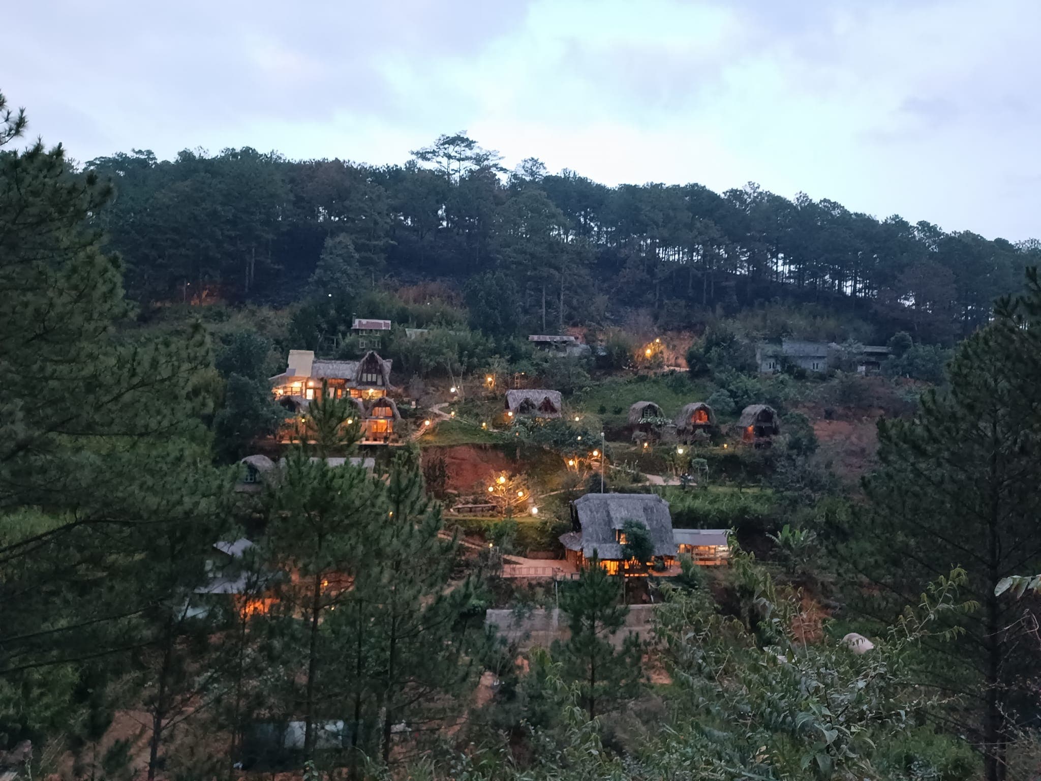 Vườn nhà Củi Homestay