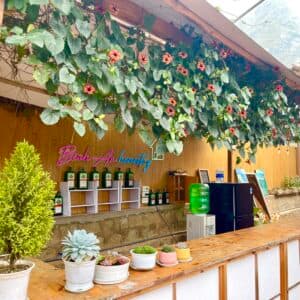 Bình An Homestay Đà Lạt
