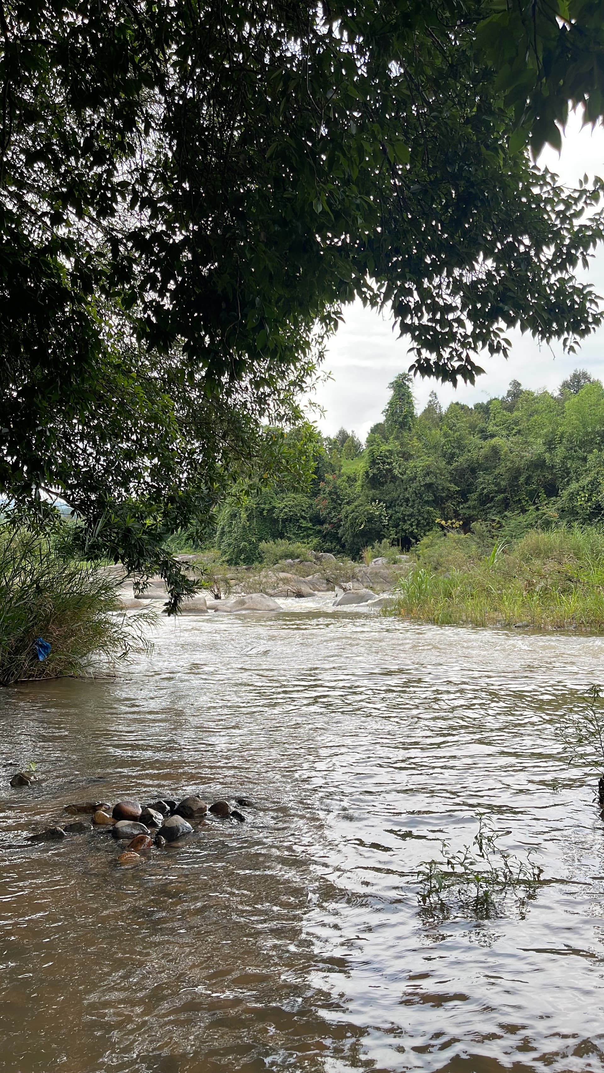 Thanh Vân Camping Site
