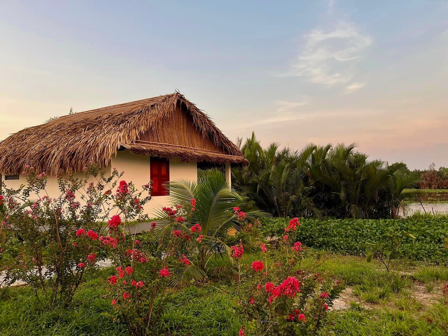Conut Farmstay Bến Lức