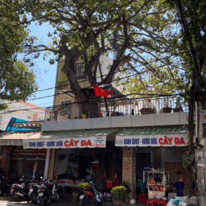 Quán Bánh Khọt Cây Đa