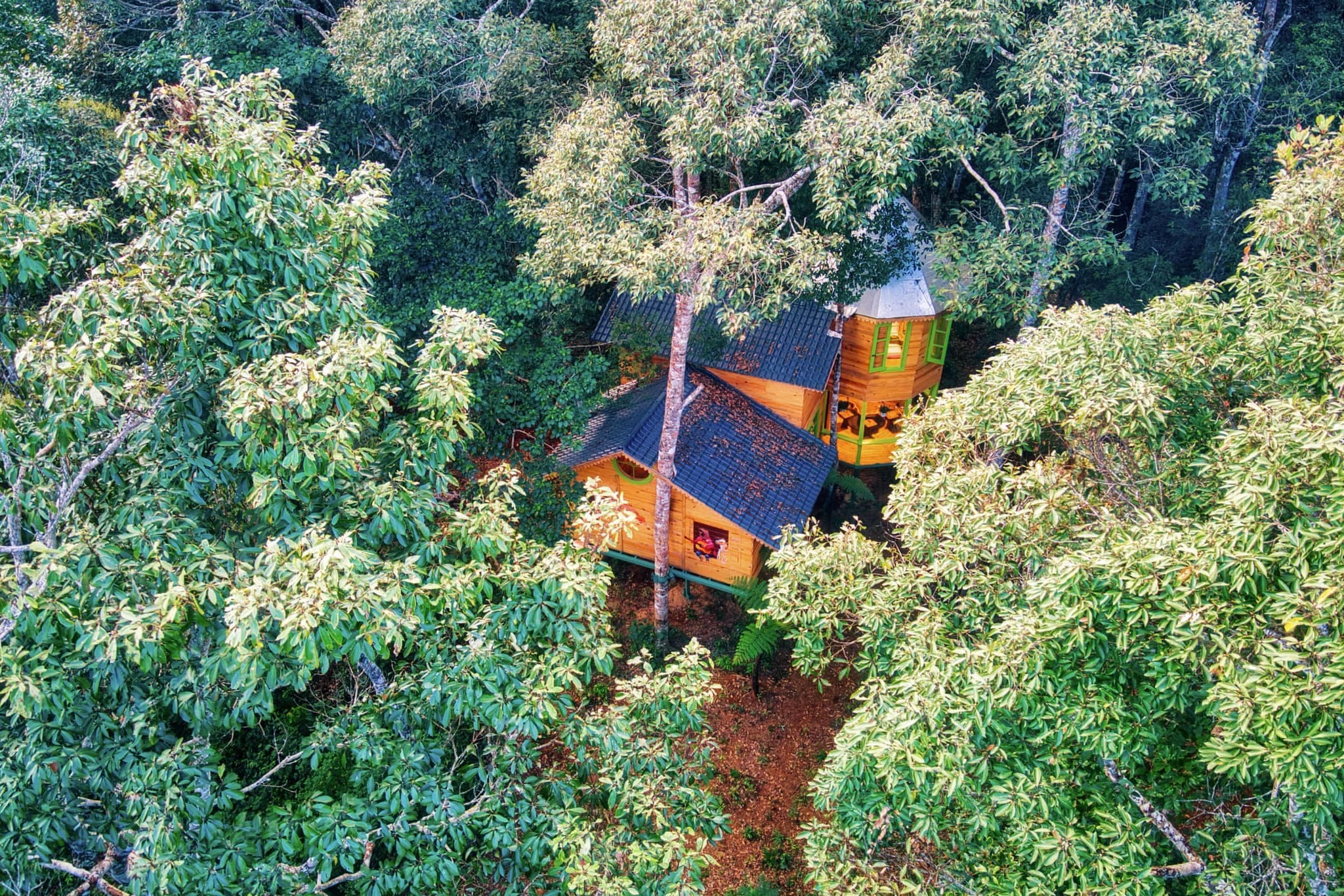 Măng Đen Treehouse Village