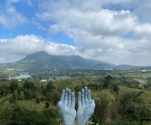 Rose Farm Quảng Trị