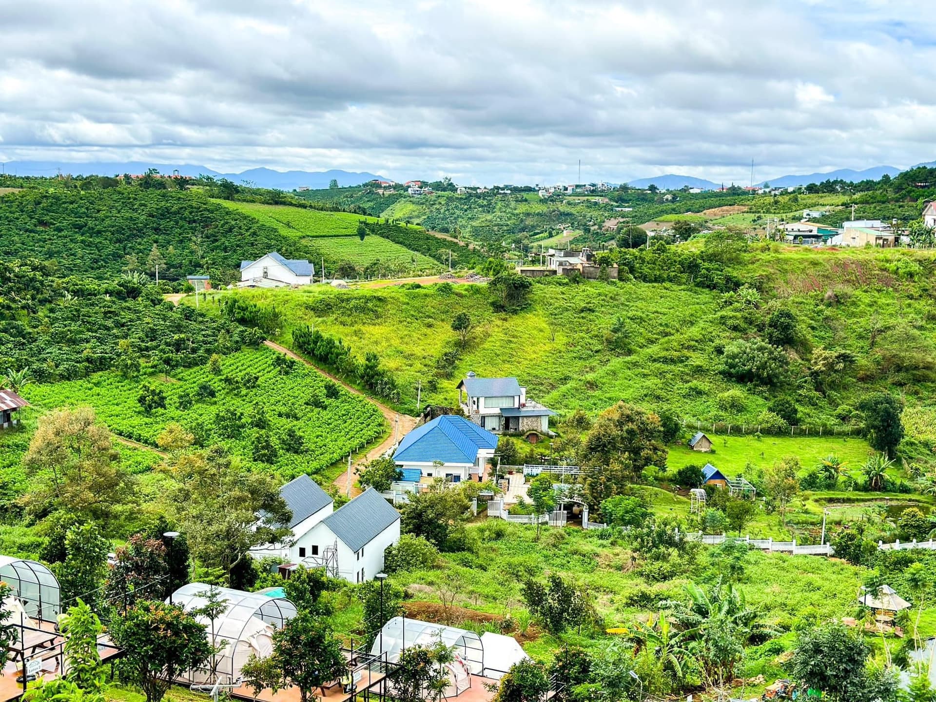 Damb'ri Topview Farmstay & Glamping